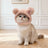 Cute animal headgear hat for cats and small dogs in Pig, close-up detail