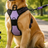 Reflective breathable nylon mesh dog harness, product image 1