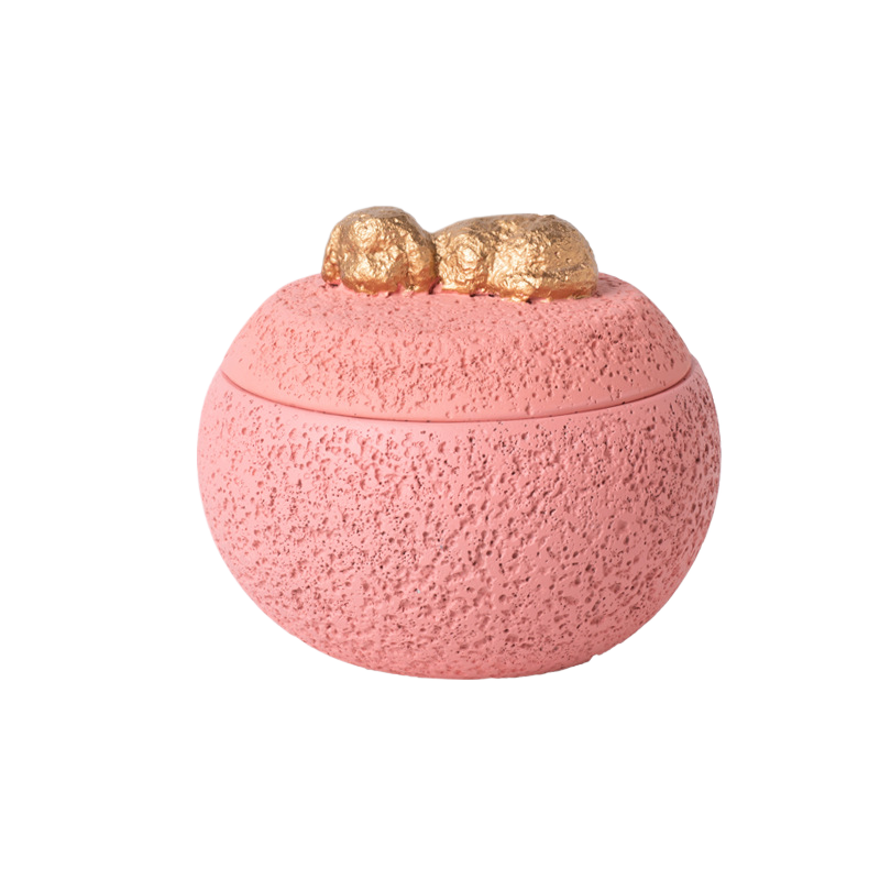 Pet Memorial Urn for Ashes