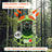 Intelligent Bird-Watching Device Outdoor Bird Feeder with Camera Solar-Powered