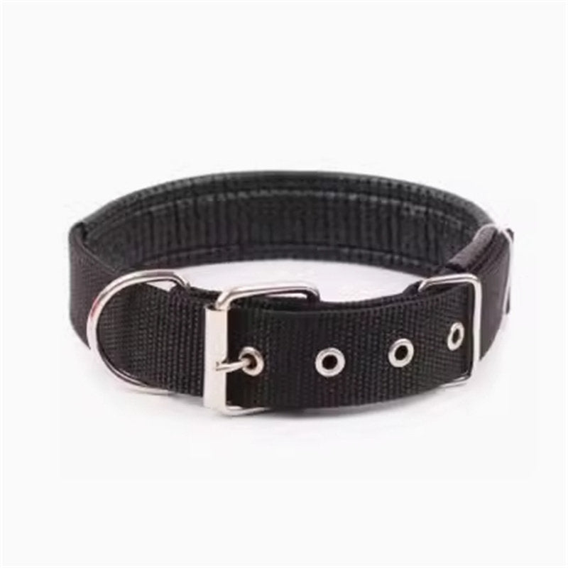 Reflective dog harness or matching collar, main product photo