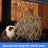 Hanging hay net bag for rabbits and guinea pigs from Pet Royale, photo 4 of 7
