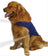 Cotton dog comfort pressure vest, available in 6 colours, image 21