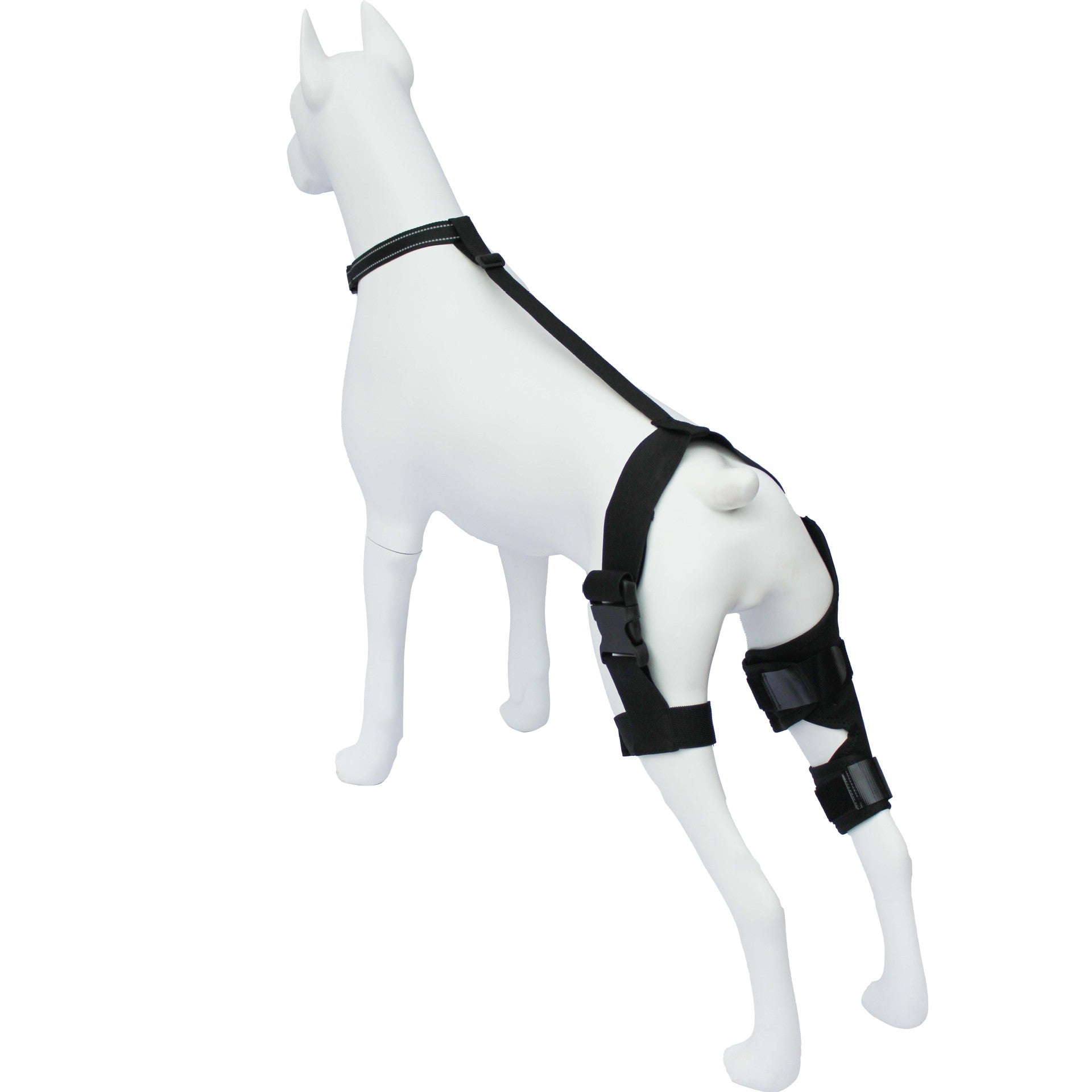 Dog Hind Leg Knee Protector Support Belt