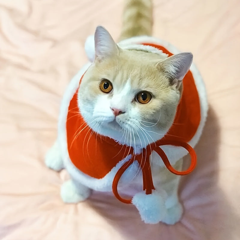 Christmas red cloak and hat set for dogs and cats in Red, close-up detail