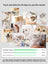 Disposable Pre-Moistened Pet Cleaning Gloves for Cats and Dogs