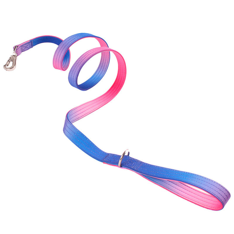 Gradient dog collar and lead, main product photo