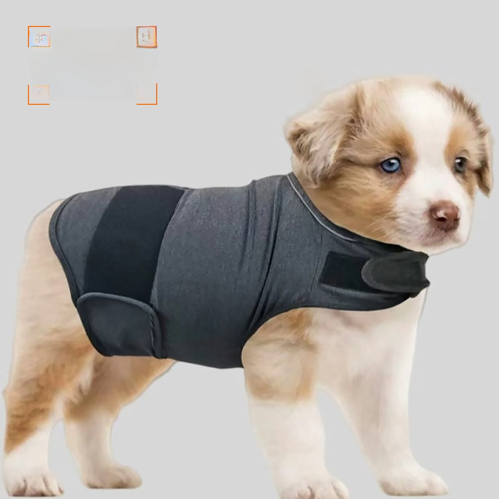 Cotton dog comfort jacket, available in 6 colours, sizes Extra Small to 2XL, image 9