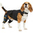 Black neoprene dog back support vest with leg straps, view 4