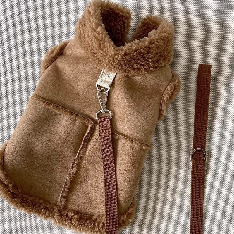 Small dog wearing a brown suede effect vest