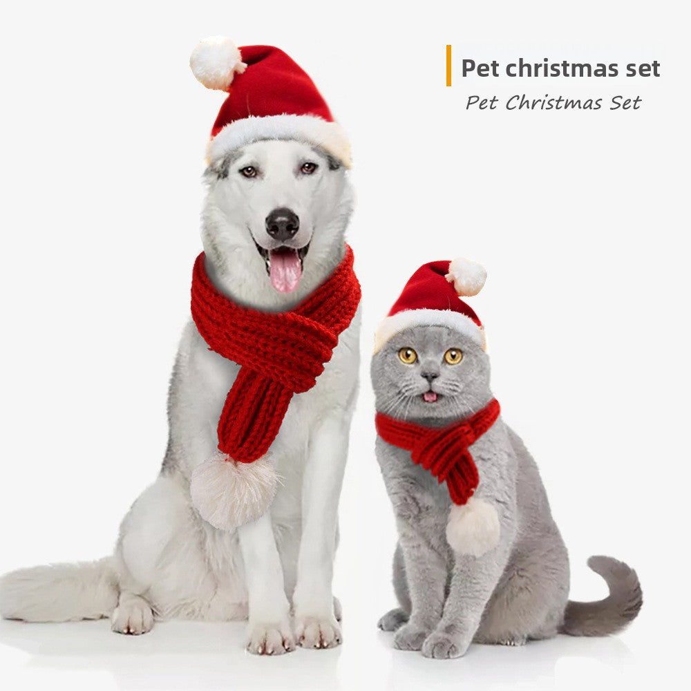 Pet Christmas hat and scarf set on a small dog