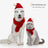 Pet Christmas hat and scarf set on a small dog