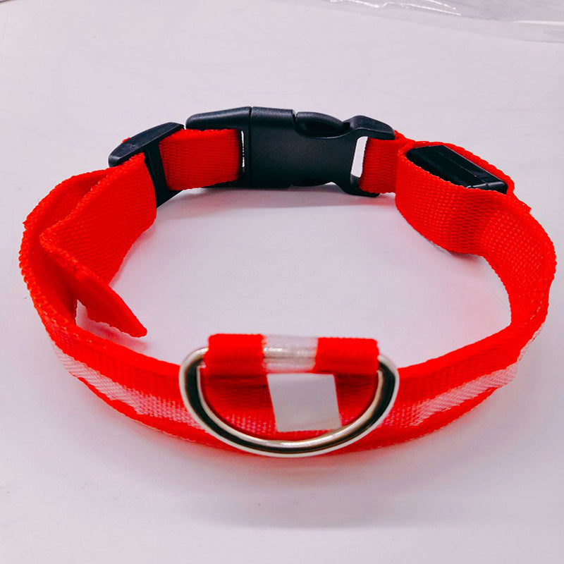 USB rechargeable LED collar for dogs and cats in Pink, in use with a pet