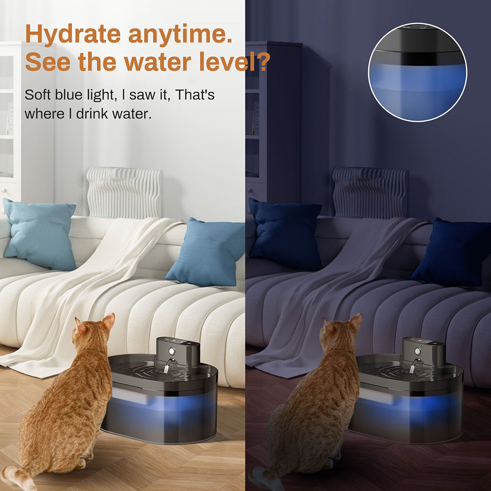 Automatic Pet Water Dispenser with Filtration System