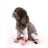 Four leg dog trousers with booties, available in 7 styles, image 3