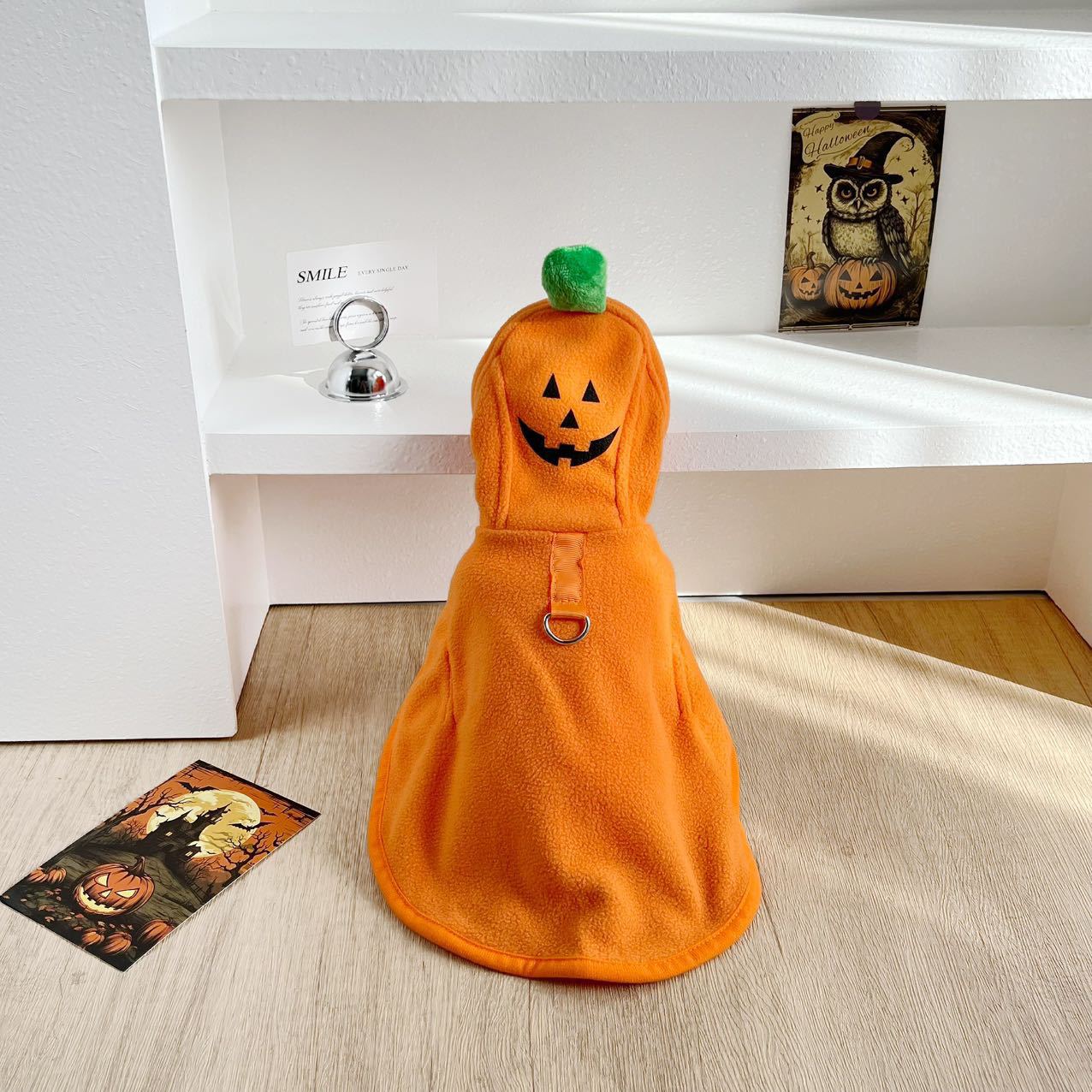 Selection of funny Halloween and Christmas costumes for pets