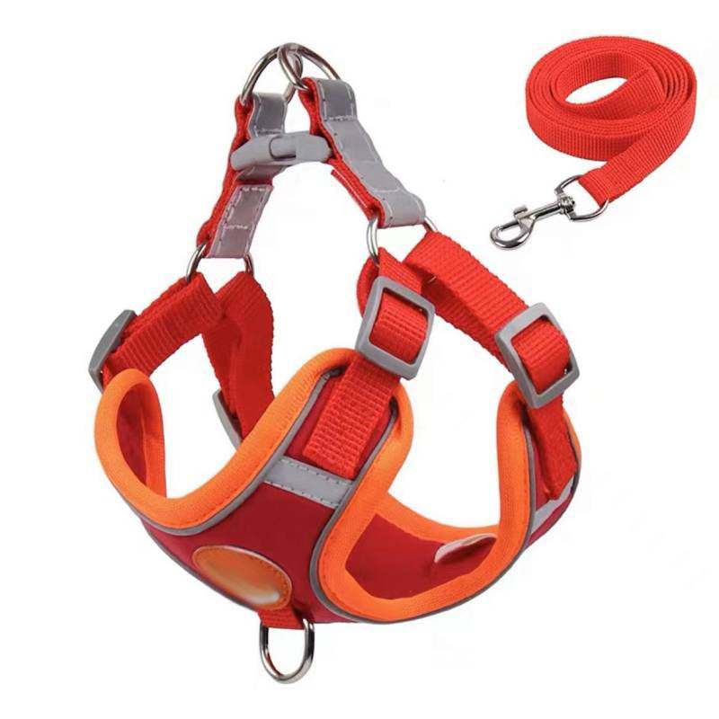 Small dog vest harness, ideal for everyday use