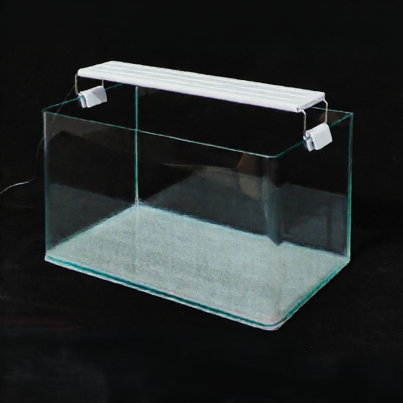 Curved glass goldfish tank on a desk with plants, view 4