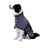 Quick-Dry Microfibre Dog Bathrobe, Absorbent Drying Coat After Baths