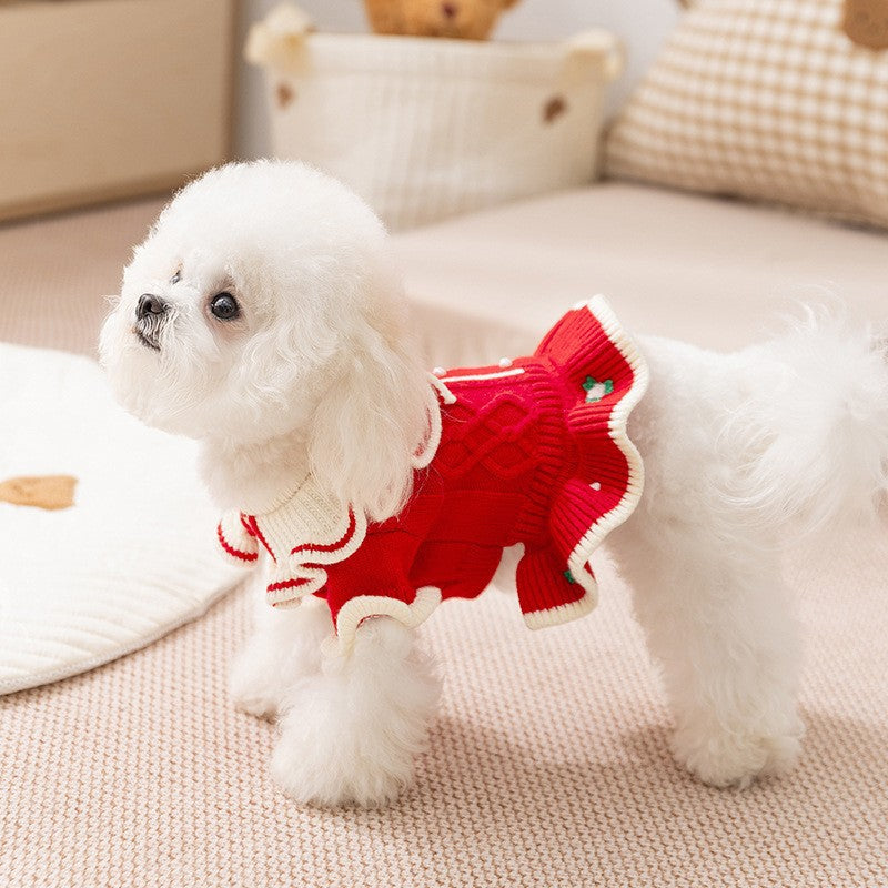 Small dog in a strawberry embroidered knit jumper dress