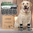 Anti-slip knitted cotton dog socks with grip soles in Leopard Print, front view