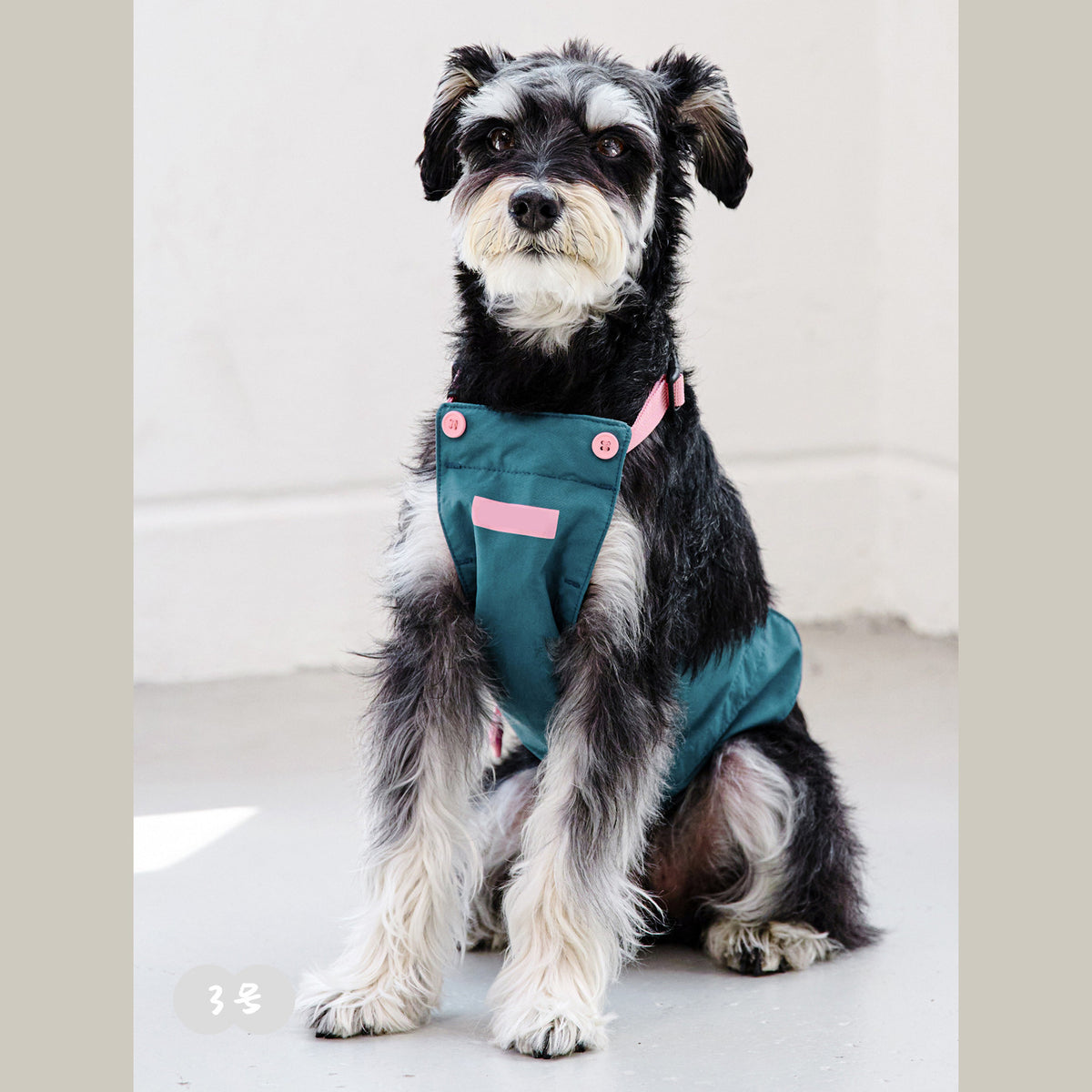 Waterproof belly protector for dogs and cats, product image 23