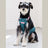 Waterproof belly protector for dogs and cats, product image 23