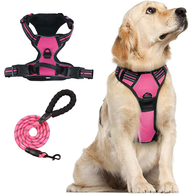 Burst proof dog harness shown in bright colours with round rope lead