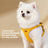 Suede-feel harness and lead for small pets, ideal for everyday use