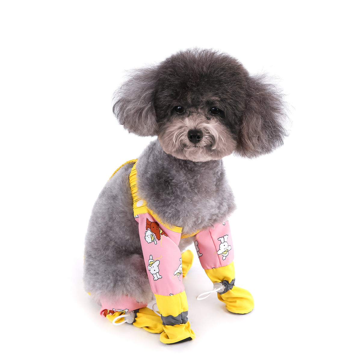 Four leg dog trousers with booties, available in 7 styles, image 5