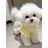 Yellow coral fleece princess dress for dogs and cats, in Yellow, image 2