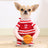 Small dog dressed in a funny frankfurter jacket costume
