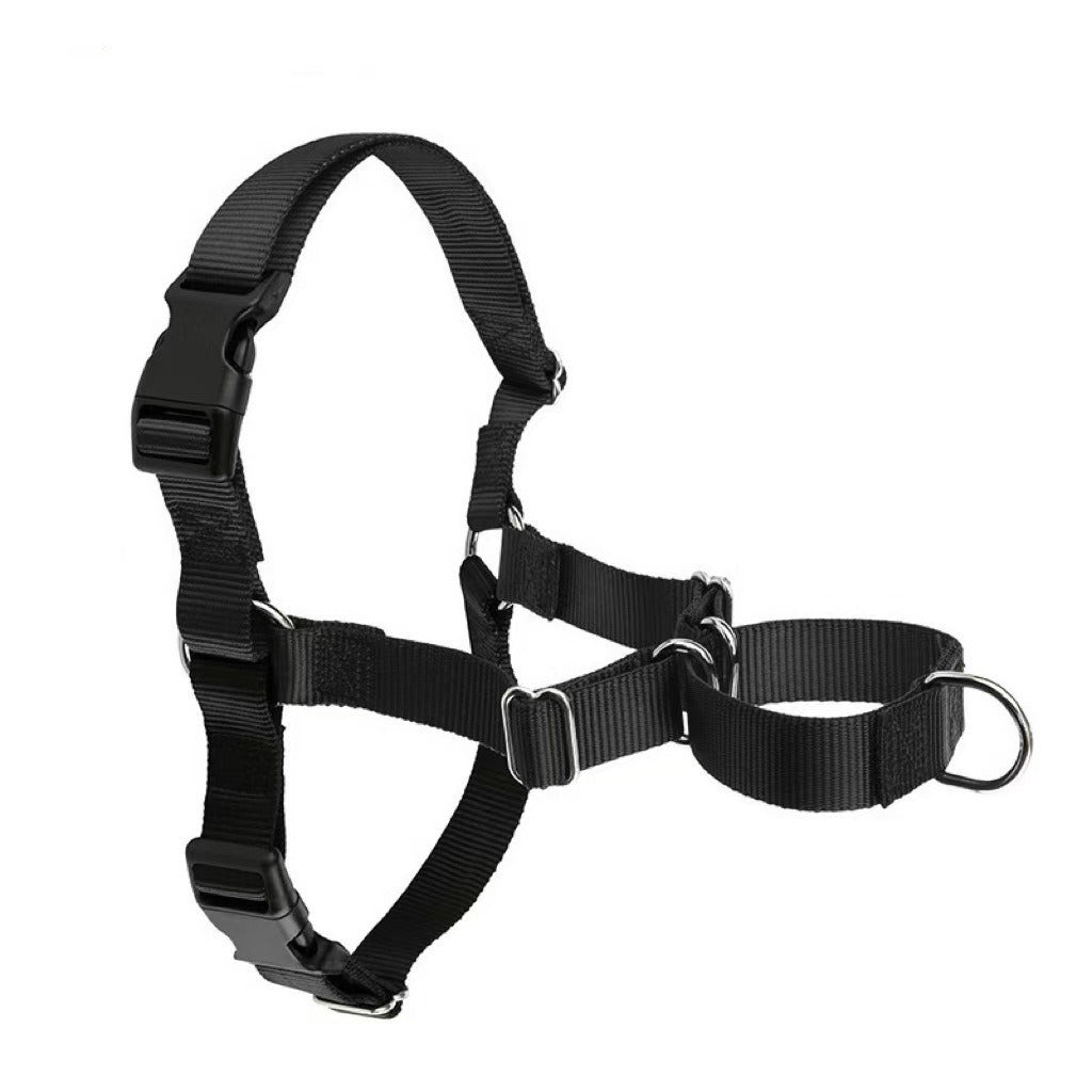 Adjustable no-pull nylon dog harness vest in bright colours, 4 sizes available