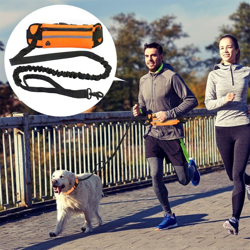 Hands free reflective waist belt dog lead in blue
