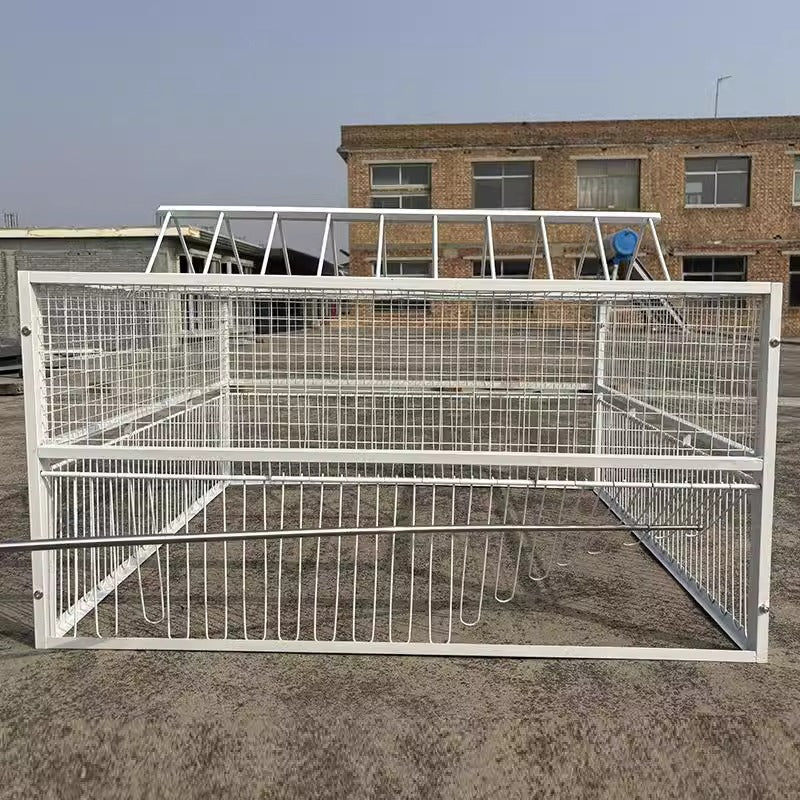 White metal pigeon loft cage with automatic entry trap door, view 3