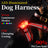 Rechargeable LED dog harness glowing on a night walk