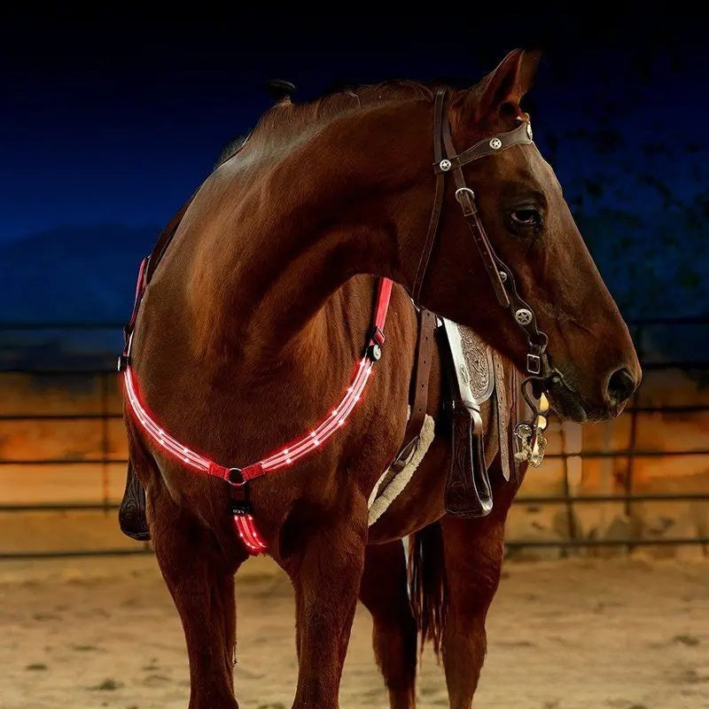 LED Light Up Adjustable Horse Chest Strap Rechargeable Nylon Safety Equestrian Gear with
