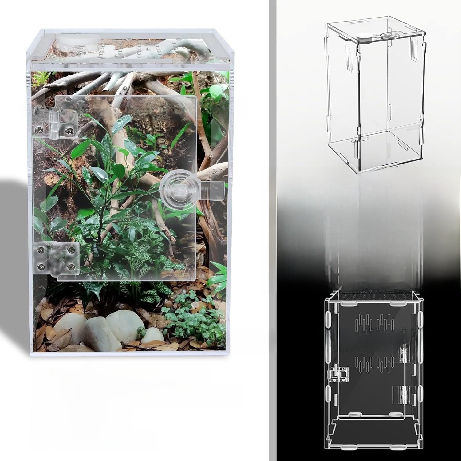 Acrylic jumping spider enclosure with front door, close-up detail view