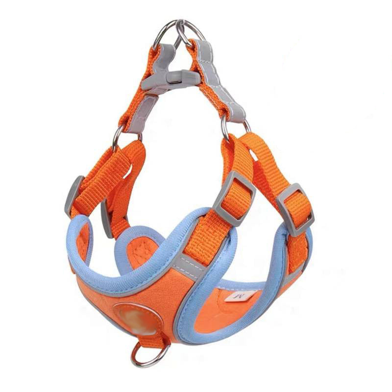 Small dog vest harness, 4 sizes available from Pet Royale UK