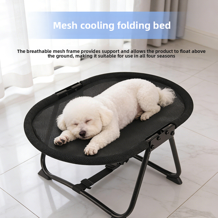 Folding Raised Camp Bed for Small Dogs and Cats, Breathable