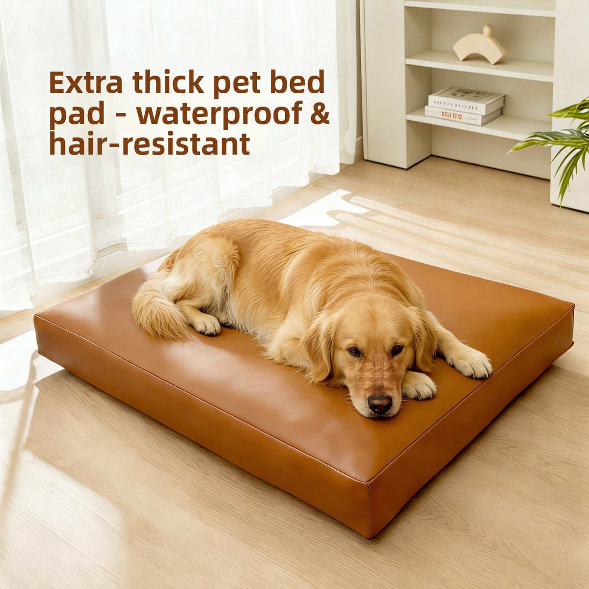 Removable washable dog mat with waterproof base, main product photo