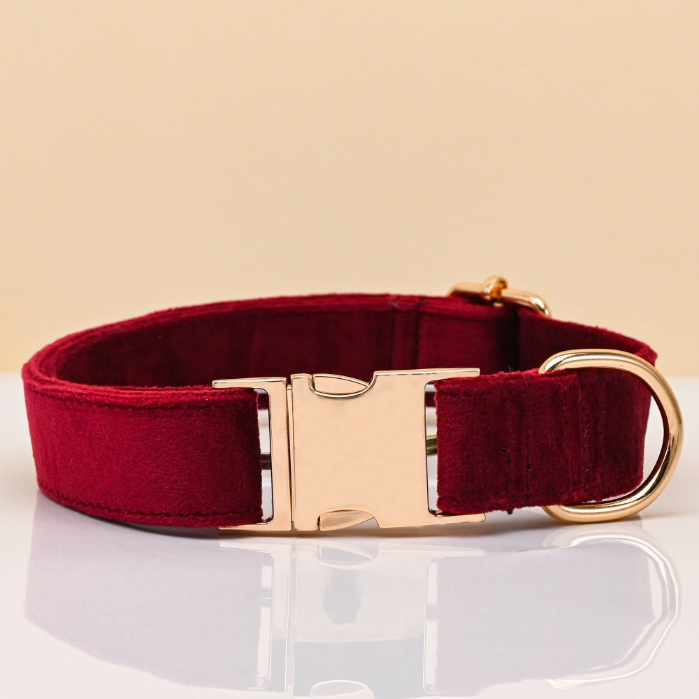 Soft velvet dog collar with metal buckle, available from Pet Royale UK