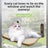 Beige foldable cat window hammock with suction cup fixings, photo 3
