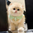 Pet polo shirt for small dogs and cats, available in 3 colours, image 3