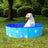 Dog standing in a pink paw print collapsible bathing pool