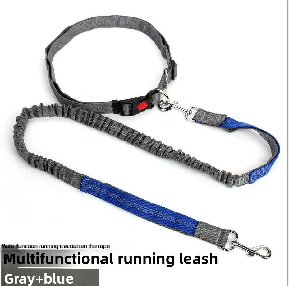Hands-free stretch running lead for dogs, close-up detail view
