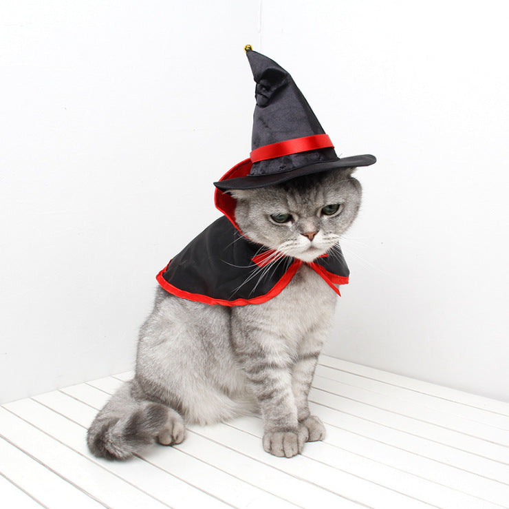 Halloween cape and hat set for cats and small dogs, image 8