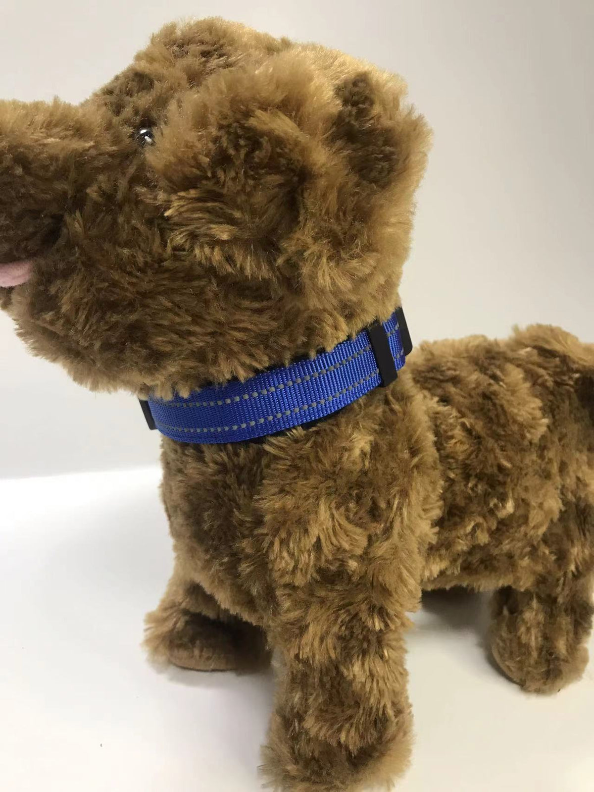 Adjustable buckle pet collar in bright colours for dogs, view 53