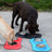 Double dog bowl with removable stainless steel bowls, photo 4 of 8