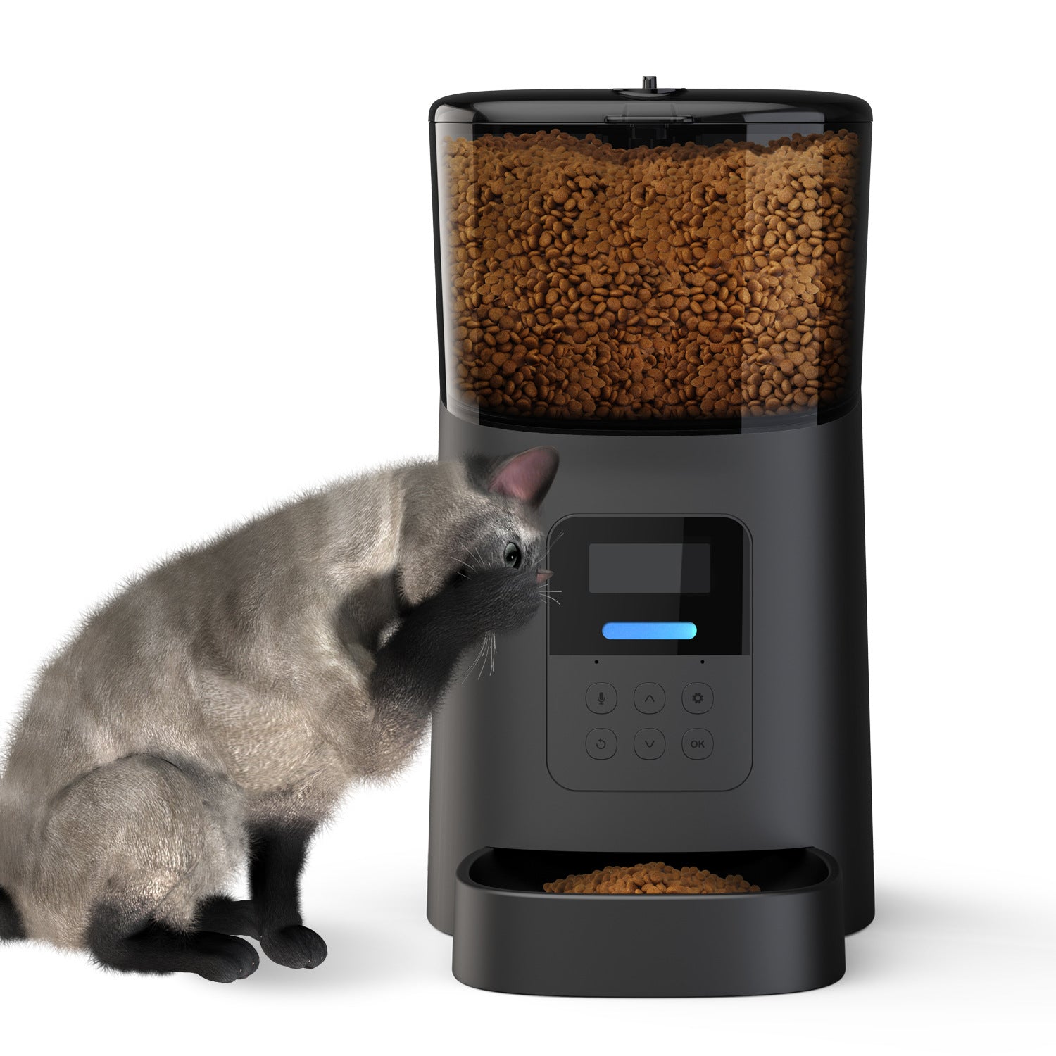 Automatic Pet Feeder